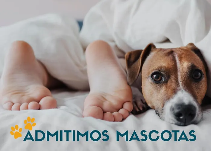 Hotel que admite mascotas: Apartamentos Castillo Peñiscola 3000